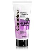 Delia - Cameleo SILVER - SHAMPOO for blonde and bleached hair 250ml 5901350441114